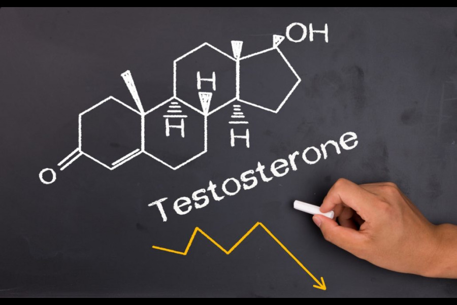 Booster testosteronu- charakterystyka