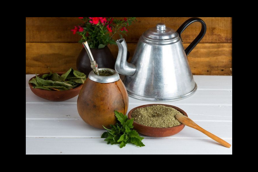 Yerba Mate jako środek na długowieczność i szczupłą sylwetkę?