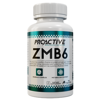 ProActive ZMB6 90tab