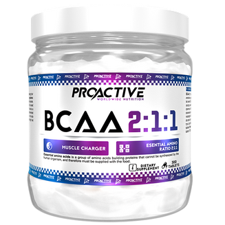 ProActive BCAA 2:1:1 300tabl.